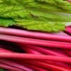Rhubarb-Ice-Cream-A-Truly-Tantalisingly-Tangy-Treat-featured-image-275x900w-jpeg-frosted-fusions