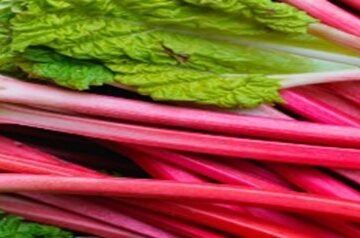 Rhubarb-Ice-Cream-A-Truly-Tantalisingly-Tangy-Treat-featured-image-275x900w-jpeg-frosted-fusions
