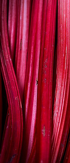 Homemade Rhubarb Ice Cream A Truly Tantalisingly Tangy Treat! image 1 vibrant red rhubarb stalks frosted fusions