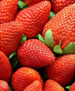 Scrumptious-Strawberry-ree-Ice-Cream-A-Burst-of-Juicy-goodness-image 5-pile-of-bright-red-strawberries-with-green-stalks frosted fusions