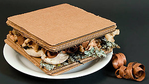 dairy-free-delights-creating-rich-homemade-vegan-ice-cream-image-3-cardboard-sandwich-with-mosses-and-bark-inside-served-on-white-plate-dark-background-frosted-fusions