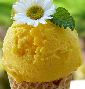 Zesty Citrusy Homemade Lemon Gelato image 2 jpeg lemon gelato in cone with white daisy flower and mint leaf frosted fusions
