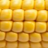 A-Cornucopia-of-Flavours-Homemade-Sweet-Corn-Ice-Cream-featured-image-200x598w-corn-on-the-cob-frosted-fusions