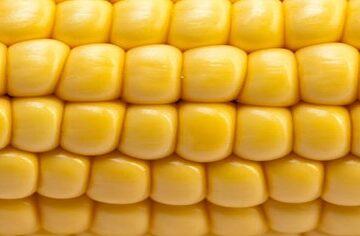 A-Cornucopia-of-Flavours-Homemade-Sweet-Corn-Ice-Cream-featured-image-200x598w-corn-on-the-cob-frosted-fusions