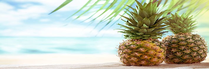 A-Tropical-Delight-Homemade-Pineapple-Sorbet-featured-image-200x600w-jpeg-two-pineapples-with-beach-and-sea-as-backdrop-frosted-fusions