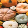Autumnal-Perfection-Homemade-Pumpkin-Ice-Cream-Recipe-featured-image-200x600w-top-view-variety-of-pumpkins-differenct-colours-and-shapes-frosted-fusions