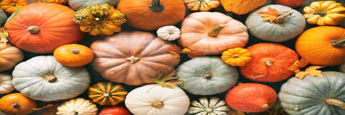Autumnal-Perfection-Homemade-Pumpkin-Ice-Cream-Recipe-featured-image-200x600w-top-view-variety-of-pumpkins-differenct-colours-and-shapes-frosted-fusions