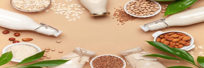 Dairy-Free-vs-Lactose-Free-Whats-the-Difference-featured-image-200x598w-top-view-various-nuts-with-corresponding-milks-laid-out-frosted-fusions