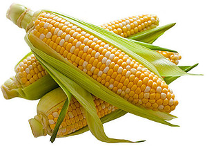 A Cornucopia of Flavours Homemade Sweet Corn Ice Cream image 1 pile of sweet corn white background frosted fusions
