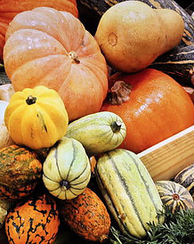 Autumnal Perfection Homemade Pumpkin Ice Cream Recipe image 2 pile of a variety of pumpkins frosted fusions