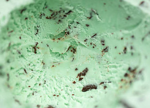 Chill Out with Homemade Mint Chocolate Chip Ice Cream image 4 mint choc chip ice cream frosted fusions