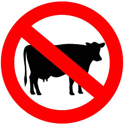 Dairy Free vs Lactose Free What You Need to Know image 1 sign of cow with a red circle and stripe across it denoting no cows white background frosted fusions