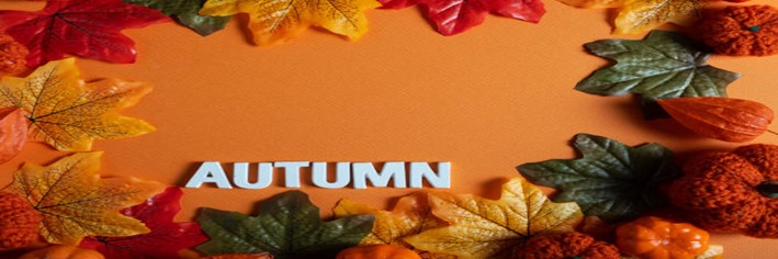 A-Guide-to-Seasonal-Ice-Cream-Flavours-Whats-Hot-This-Autumn-featured-image-200x600w-autumn-sign-with-autumnal-colour-leaves-orange-background-frosted-fusions