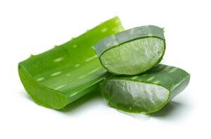 How-To-Make-The-Perfect-Smoothie-image-16-pile-of-aloe-vera-leaf-sliced-frosted-fusions