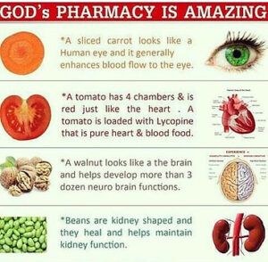 how-to-make-the-perfect-smoothie-image-1-gods-pharmacy-summarised-with-4-comparisons-frosted-fusions