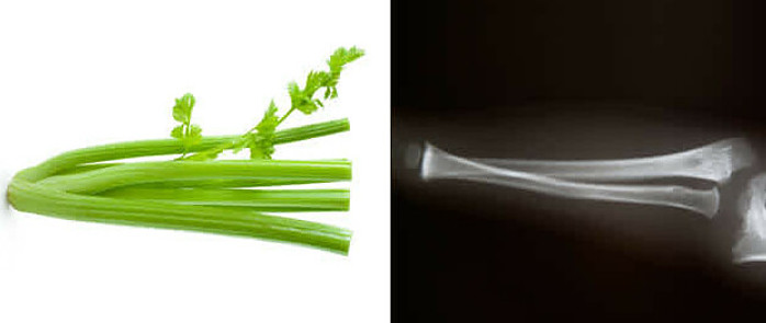 How To Make The Perfect Smoothie image 4 celery and bones shown side by side for likeness frosted fusions