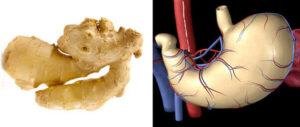 how-to-make-the-perfect-smoothie-image-5-ginger-and-stomach-shown-side-by-side-for-likeness-frosted-fusions