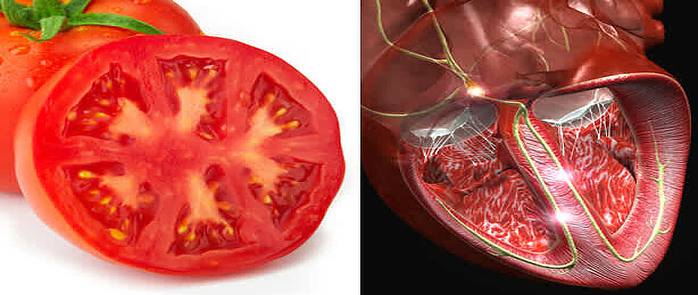 How To Make The Perfect Smoothie image 7 slice of tomato and human heart shown side by side for comparison frosted fusions