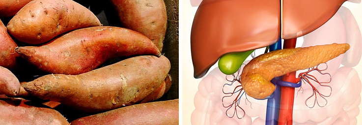 Sweet Potatoes Are Good For Pancreas