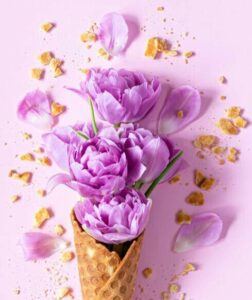 sweet-treats-for-mum-homemade-ice-cream-to-celebrate-mothers day-Frosted Fusions