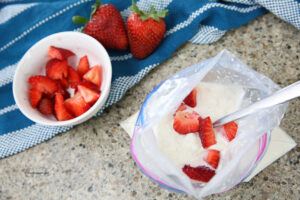 Bags-Of-Fun-Learn-How-To-Make-Homemade-Ice-Cream-In-A-Bag-image-9-ice-cream-in-a-bag-with-some-fresh-strawberries-added-frosted-fusions