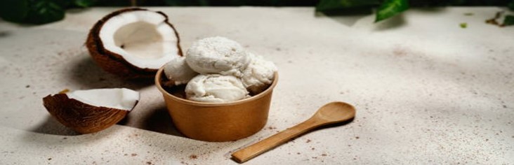 Vegan-And-Non-Dairy-Homemade-Ice-Cream-Using-Coconut-Milk-featured-image-200x620w-half-coconuts-showing-coconut-flesh-with-bowl-of-coconut-milk-and-wooden-spoon-frosted-fusions