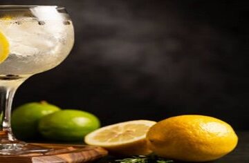 Homemade-Gin-And-Tonic-Ice-Cream-Recipe-The-Perfect-Summer-Treat-featured-image-200x620w-glass-of-gin-and-toni-with-lemons-and-limes-slices-frosted-fusions