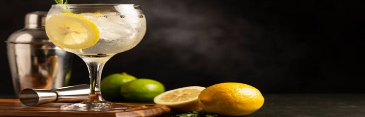 Homemade-Gin-And-Tonic-Ice-Cream-Recipe-The-Perfect-Summer-Treat-featured-image-200x620w-glass-of-gin-and-toni-with-lemons-and-limes-slices-frosted-fusions