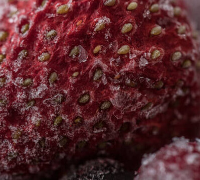 How To Store Homemade Ice Cream To Prevent Freezer Burn image 2 berry covered in icicles frosted fusions