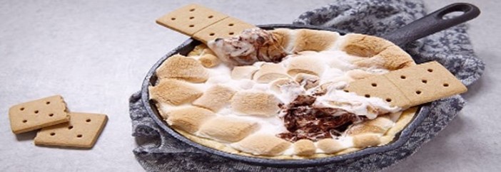 Smores-Homemade-Ice-Cream-Recipe-Ideas-featured-image-280x810w-smores-ice-cream-in-a-large-dish-with-graham-crackers-toasted-marshmallows-and-chocolate-sauce-frosted-fusions