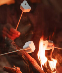churn-baby-churn-homemade-ice-cream-recipes-to-remember-remember-image-3-marshmallows-being-toasted-in-a-bonfire-frosted-fusions