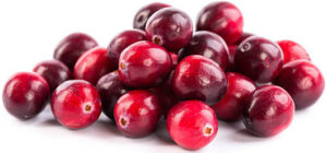 homemade-cranberry-orange-ice-cream-recipe-image-2-a-pile-of-cranberries-white-background-frosted-fusions
