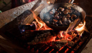 homemade-roasted-chestnut-ice-cream-recipe-image-1-chestnuts-roasting-over-open-flames-frosted-fusions