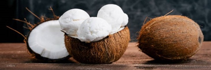 Dairy-Free-Coconut-Based-Frozen-Treats-–-Creamy-Dreamy-100-Delicious-featured-image-207x620w-half-coconut-with-scoops-of-coconut-ice-cream-frosted-fusions
