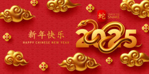 Celebrating-Chinese-New-Year-With-Lucky-Ice-Cream-Flavours-image-9-happy-new-year-banner-with-2025-snake-red-background-Frosted-Fusions