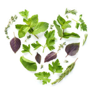Homemade-Ice-Cream-Infused-With-Herbs-image-5-selection-of-hearbs-laid-out-in-a-heart-shape-Frosted-Fusions