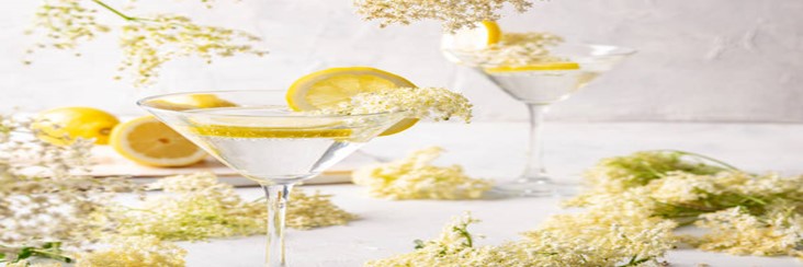 A-Fragrant-And-Refreshing-Elderflower-Gin-Sorbet-Recipe-featured-image 207x620w glass-of-gin-and-tonic-with-slices-of-lemons-and-elderflowers-Frosted-Fusions