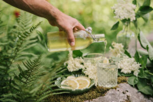 A-Fragrant-And-Refreshing-Elderflower-Gin-Sorbet-Recipe-image-1-elderflower-cordial-being-poured-with-fresh-elderflowers-Frosted-Fusions