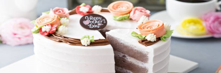 Homemade Ice Cream Cakes For That Special Occasion featured image 207x620w ice cream cake with mothers day sign Frosted fusions