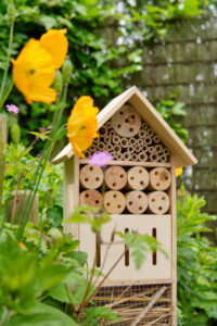 Bee Happy – A Celebration Of Bees, Honey & Ice Cream Image 6 bee hotel with wildflowers Frosted Fusions