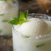 A-Dairy-Free-Coconut-Mojito-Cocktail-Sorbet-With-Mocktail-Options-Featured-Image-637x1920w-Mojito-Sorbet-in-glass-with-fresh-mint-leaves-Frosted-Fusions