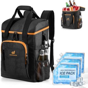 Picnic-Perfect-Ice-Cream-—-How-To-Pack-Frozen-Treats-For-Outdoor-Adventures-image-1-Odoland-Rucksack-for-ice-cream-transportation-Frosted-Fusions Picnic-Perfect-Ice-Cream-—-How-To-Pack-Frozen-Treats-For-Outdoor-Adventures-image-1-Odoland-Rucksack-for-ice-cream-transportation-Frosted-Fusions