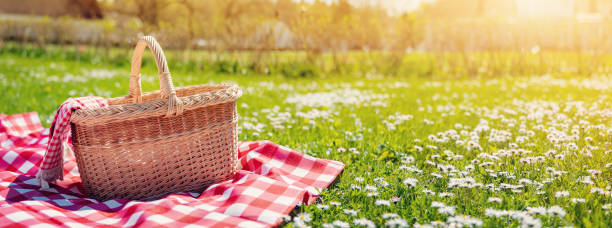 Picnic-Perfect Ice Cream — How To Pack Frozen Treats For Outdoor Adventures image 4 picnic baskey on a picnic blanket on grass on a sunny day Frosted Fusions